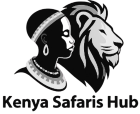 Kenya Safari Hub
