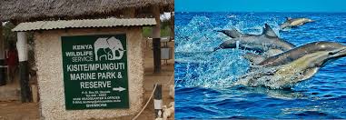 1-Day Wasini Dolphin Trip - Kisite Mpunguti Island