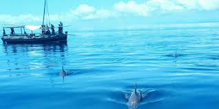 1-Day Wasini Dolphin Trip - Kisite Mpunguti Island