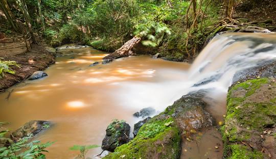 1-Day Karura Forest Cycling Adventure – A Refreshing Escape into Nature
